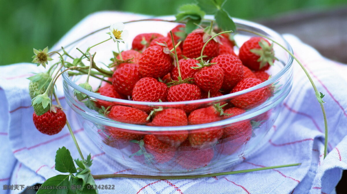 桑椹 红草莓 蔷薇目 凤梨草莓 食物美食 餐饮美食 传统美食