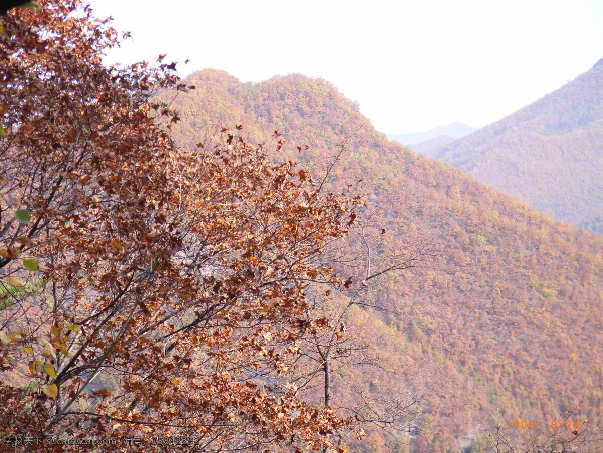 仙翁 山 风光 国内旅游 黑龙江 旅游摄影 摄影图 伊春 风景 生活 旅游餐饮