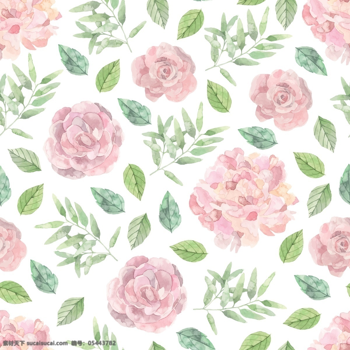 粉红 玫瑰 图案 背景 花卉 自然 花卉背景 粉红色 壁纸 春天 装饰 自然背景 开花 春天背景 美丽的