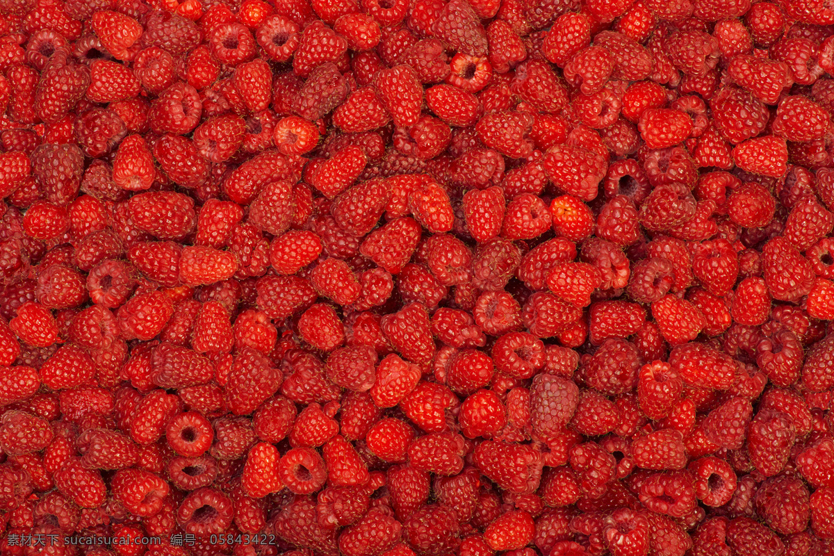 新鲜 树莓 背景 覆盆子 新鲜水果 野果 浆果 山莓 水果蔬菜 蔬菜图片 餐饮美食