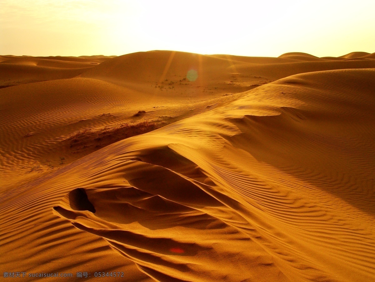 大漠风光 沙漠 大漠 自然 风光 旅游 风景 自然风景 旅游摄影 白色