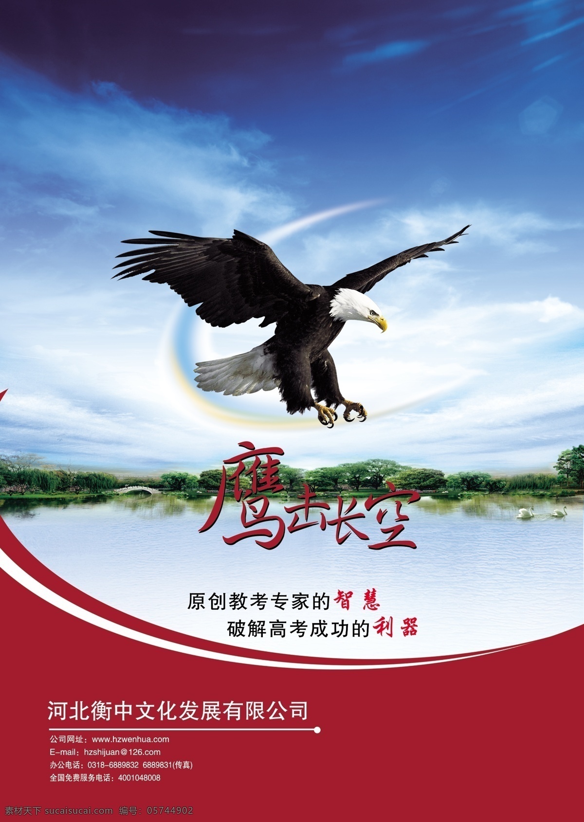 白云 背景 底纹 封底 广告设计模板 画册封面 画册设计 蓝天 书 书籍 书籍封面 鹰 鹰击长空 线条 书籍封底 源文件 其他画册封面