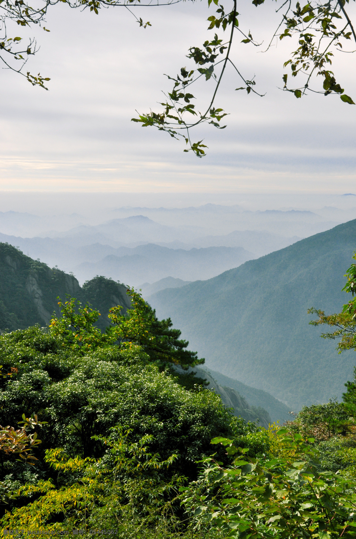 黄山 阳光 白云 山川 天空 树叶 自然风景 旅游摄影 灰色