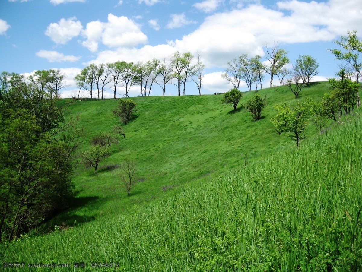 绿色草坪山坡 绿色 草坪 山坡 绿化 蓝天 白云 户外公园 自然风景 自然景观