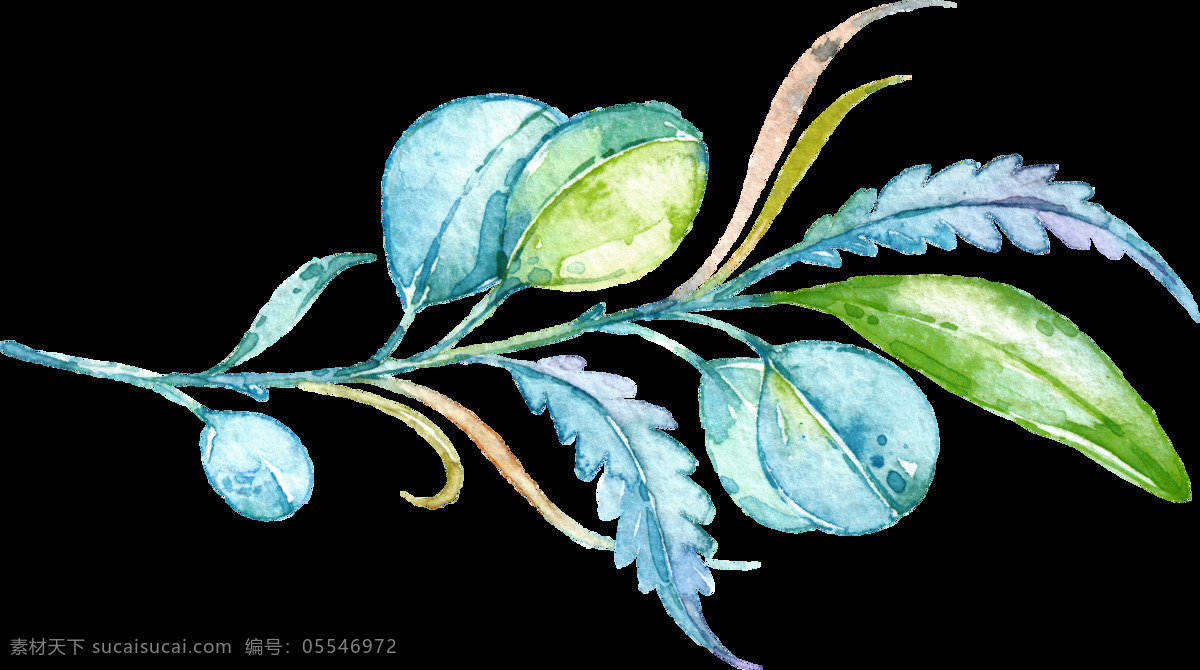 手绘 色彩 淡雅 花枝 透明 蓝色 绿色 免扣素材 水彩 透明素材 渲染 装饰图片