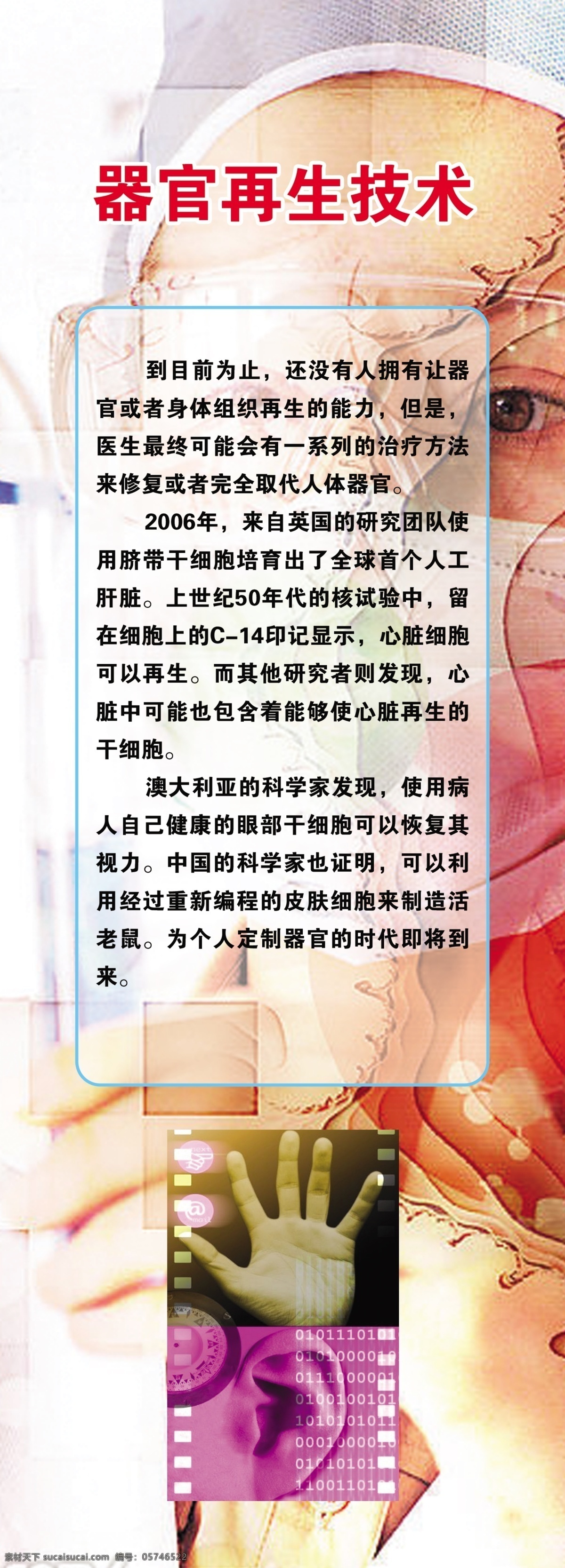 科普 器官 再生 技术 医生背景 手 耳朵 科普知识 学校 源文件 其他模版 广告设计模板