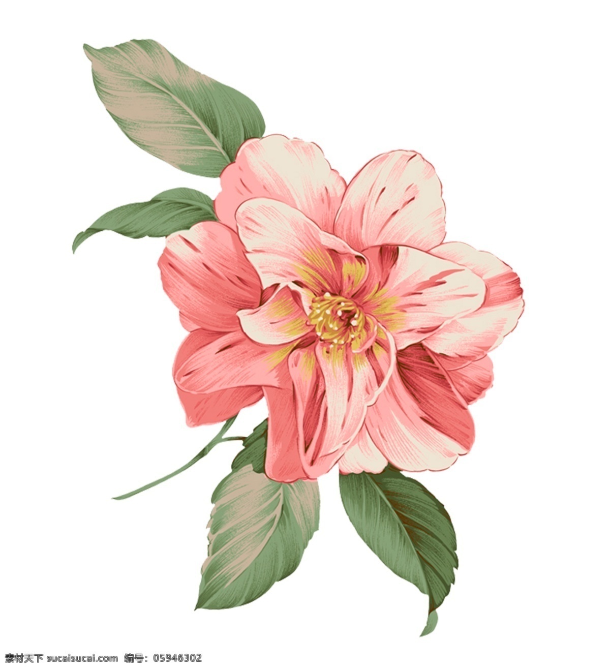 小花 玉兰花 小碎花 花枝 大牌 手绘花 叶子 花朵 白花 循环花 无缝 数码 大花 树叶 线描 黑白 乱花 花 玫瑰 百合 服装设计 植物 鸟 豹纹 晕染几何 美图 鹦鹉 热带花 热带植物 水墨 花卉 矢量 手绘 水彩 数码印花 广告 设计服装设计 时尚花型 流行图案 服饰印花 淘宝界面设计 淘宝装修模板