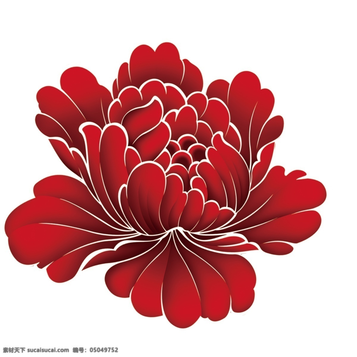 牡丹花 粉色牡丹花 盛开的牡丹 彩色牡丹花 白色牡丹花 分层