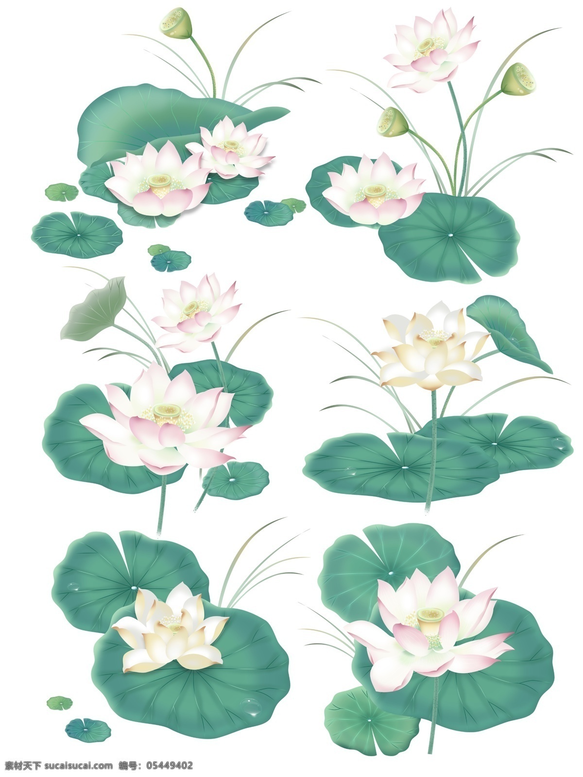 手绘 清新 水墨 插画 荷花 荷叶 花卉 植物 中国 风 中国风 手绘花