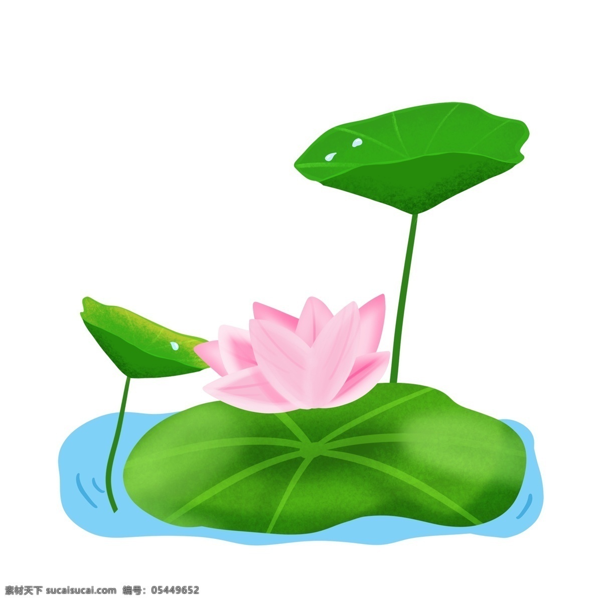 立夏 手绘 夏季 池塘 粉色 荷花 荷叶 免 抠