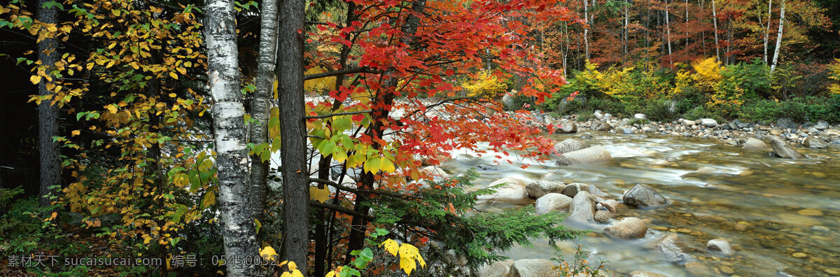 风景 背景图 宽屏 树木 树林 河流 岩石 自然景观 自然风景