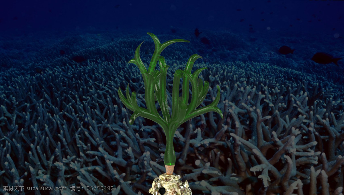 管状 海藻 海洋 水族馆 坦克 鱼 杂草 植物 水 附件 3d模型素材 其他3d模型