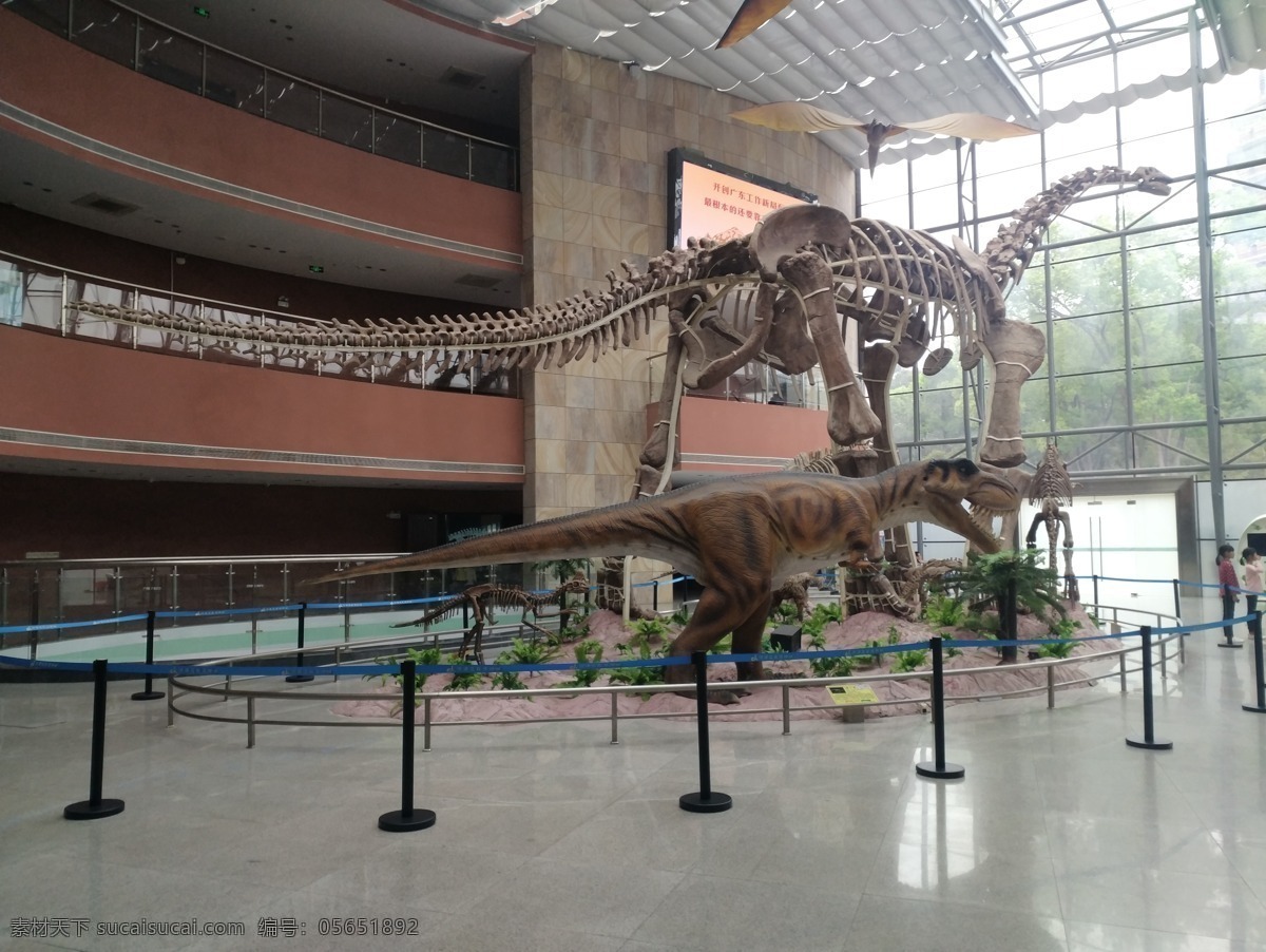 河源 恐龙 博物馆 模型 广东 恐龙博物馆 恐龙蛋 化石 考古 旅游 欣赏 科普 史前生物 历史 客家 旅游摄影