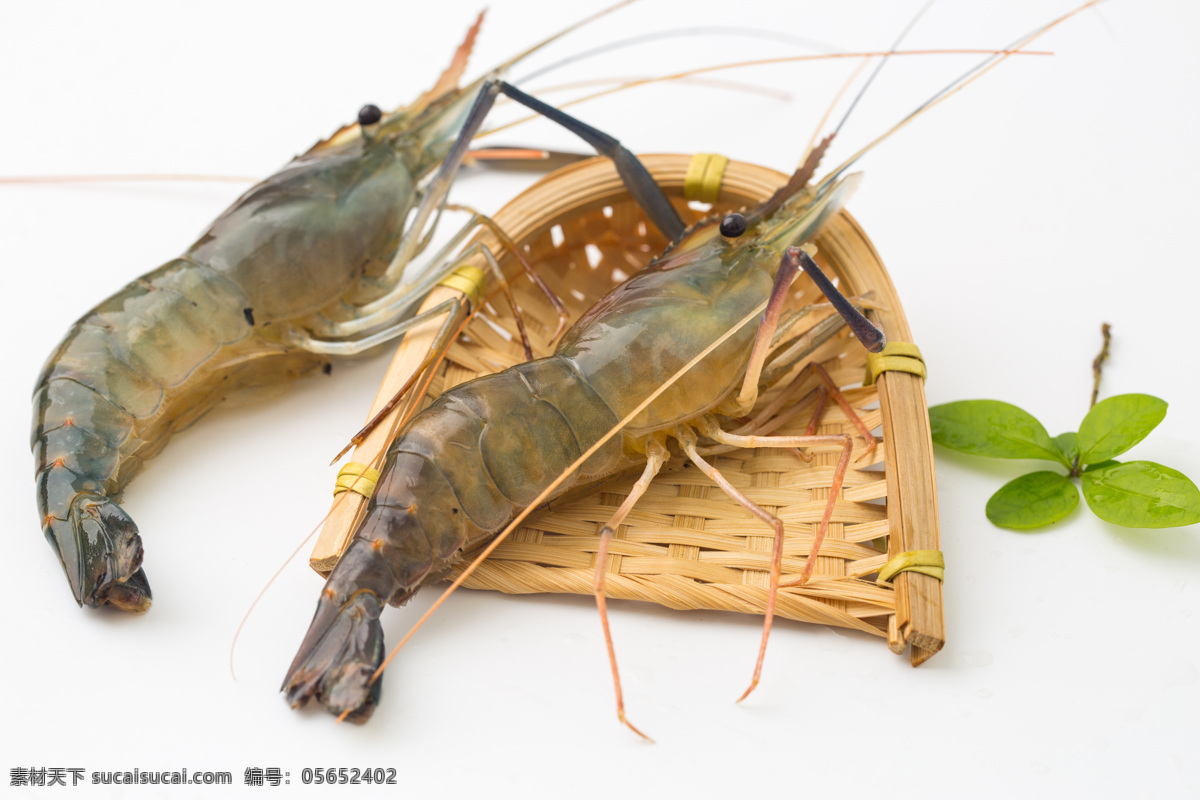罗氏虾图片 罗氏虾 白脚虾 马来西亚大虾 金钱虾 万氏对虾 水产 虾