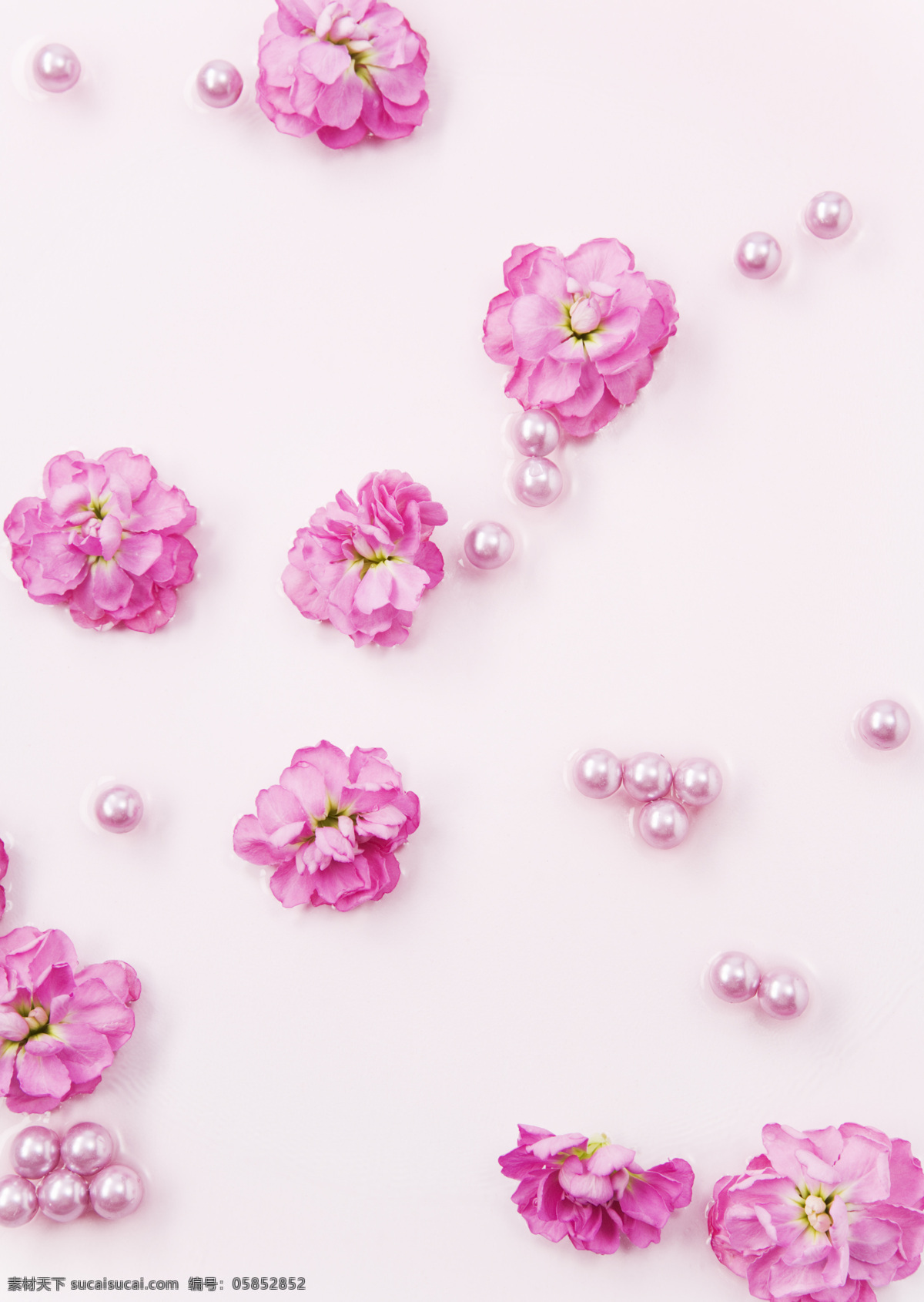粉色背景 韩国花纹 荷花 花 花纹 绘画 绿色 梦幻 移门 时尚移门 精美移门 漂亮移门 树叶 圆圈 移门图案 移门大全 装饰素材