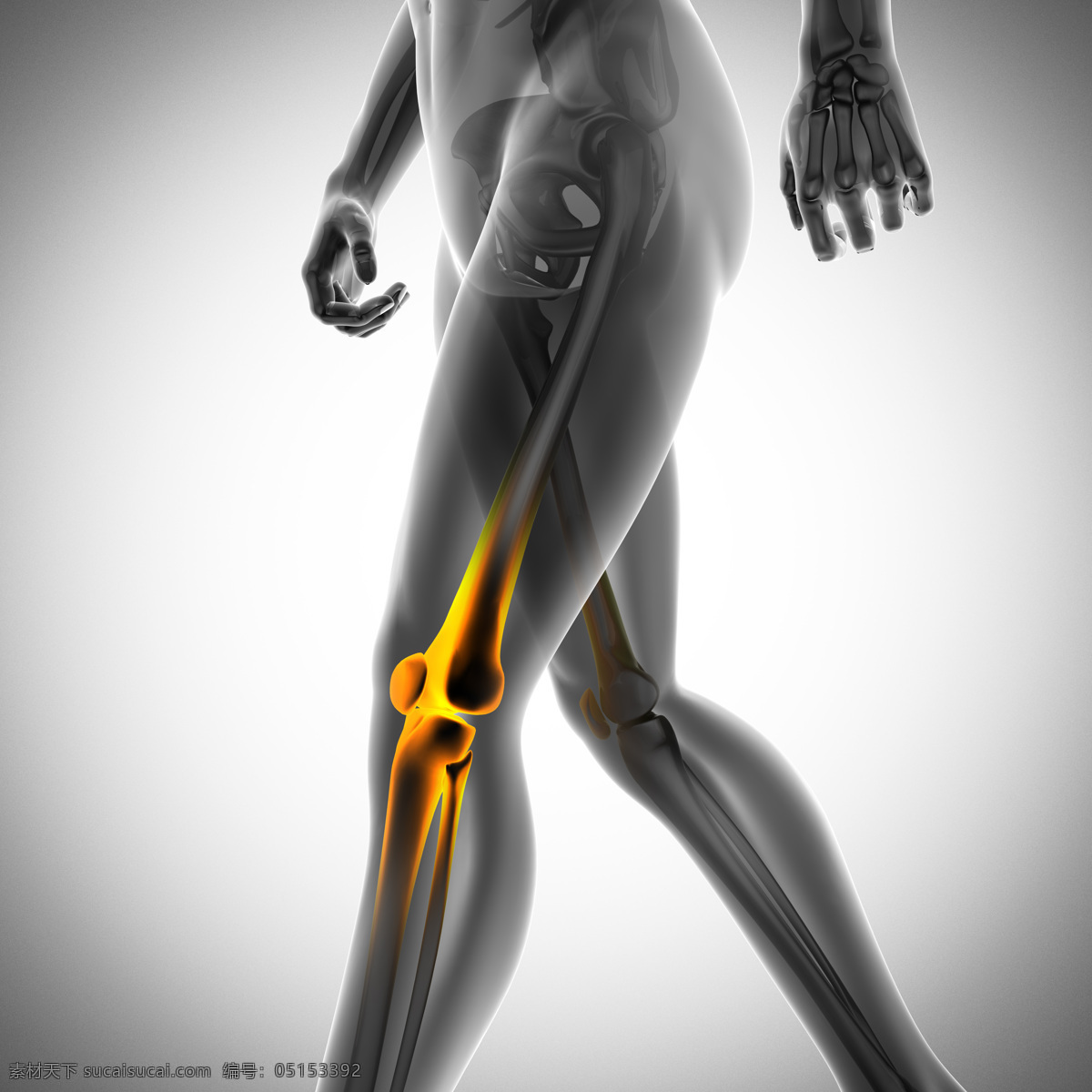 人体病痛 人体关节痛 医院 医疗 病痛示意图 病痛展示图 病痛 疾病 人体结构 人体骨骼 人体肌肉 x光 人体标本 人体构造 医疗护理 现代科技