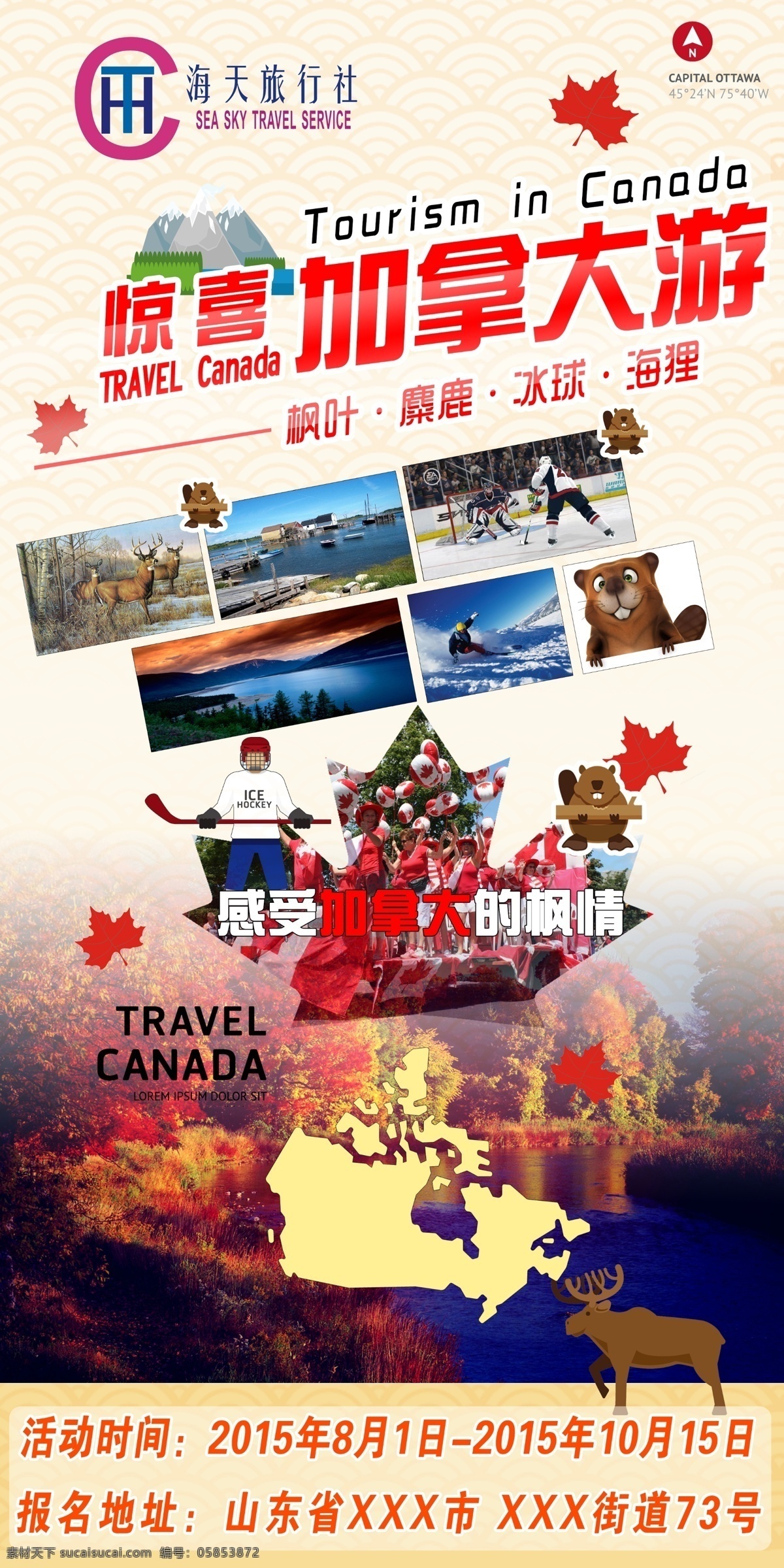 惊喜 加拿大 旅游 平面设计 枫叶 平面 海报 宣传海报 宣传单 彩页 dm