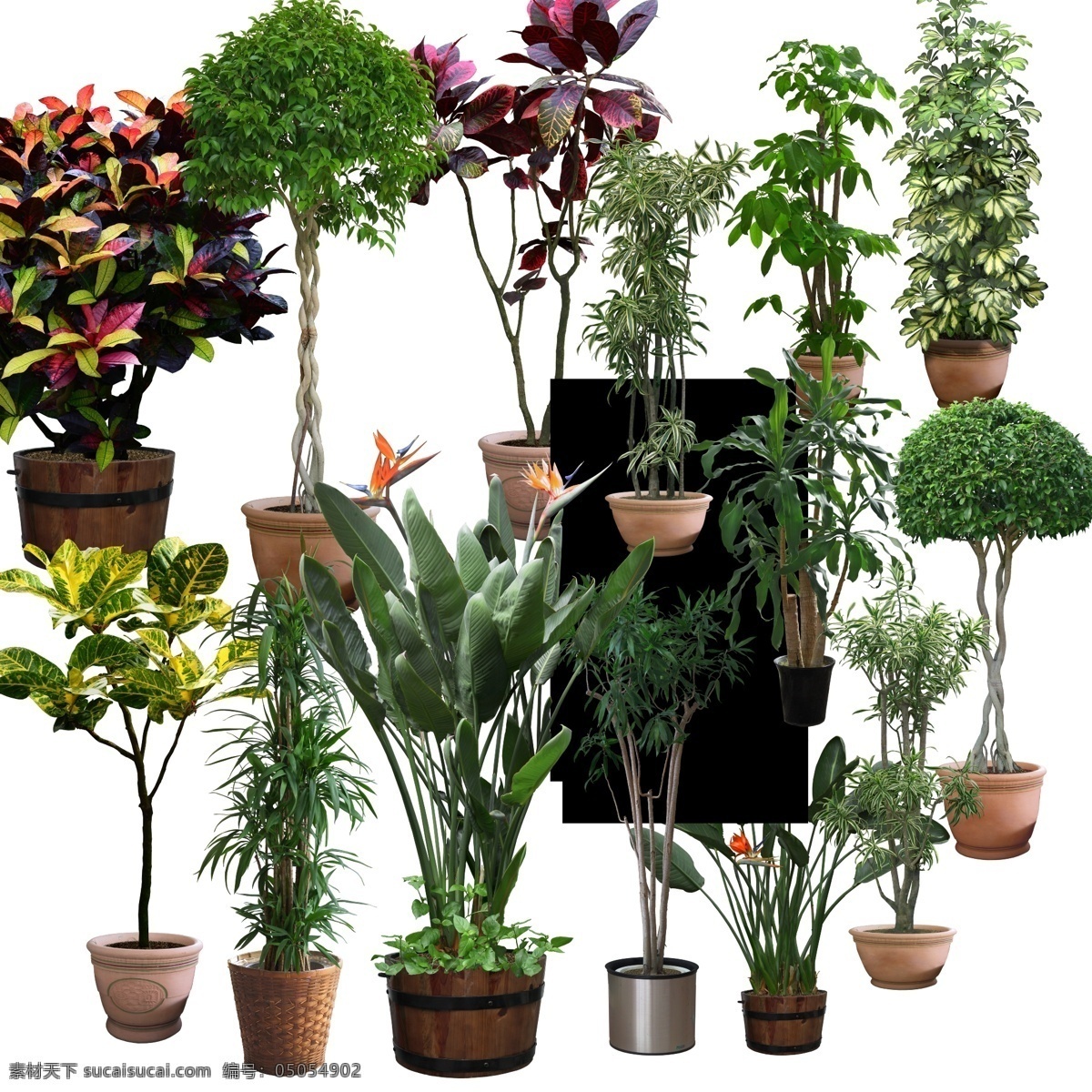 花卉盆景 花卉 花盆 景观 树 分层 环境设计 景观设计