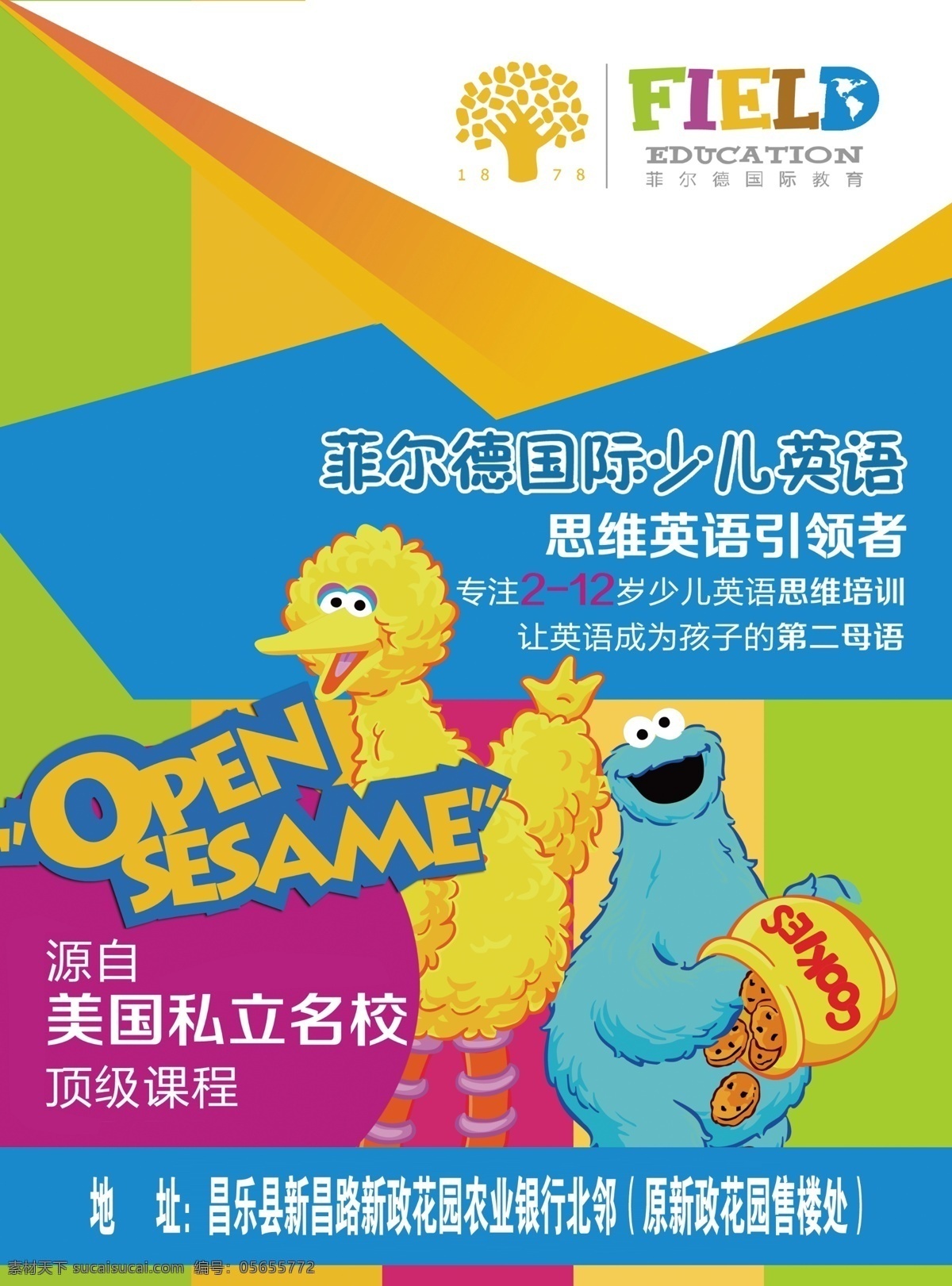 菲尔德彩页 英语彩页 培训彩页 辅导彩页