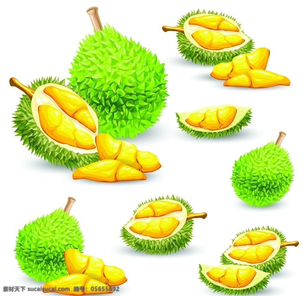 卡通榴莲 切开榴莲 素描榴 卡通 榴莲 切开 素描 新鲜 标志图标 公共标识标志