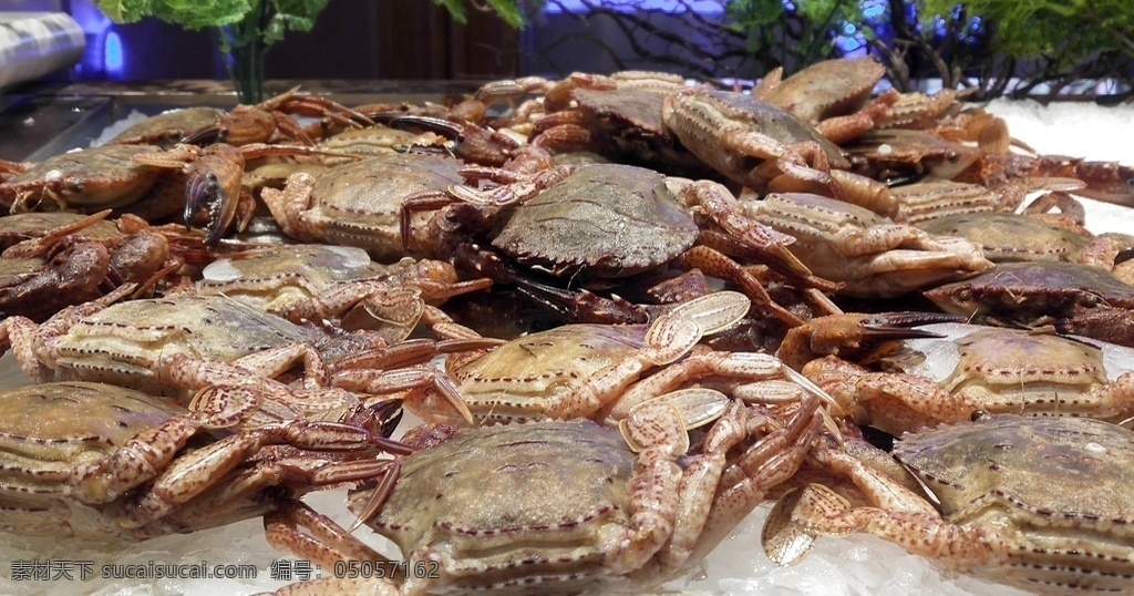 海蟹图片 海蟹 螃蟹 海鲜 海产品 自助餐海鲜类 美味海鲜 餐饮美食 传统美食