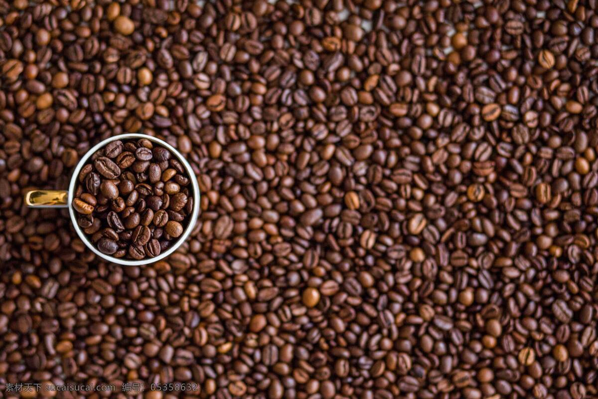 咖啡豆 冰咖啡 冷萃咖啡 卡布奇诺 咖啡杯 意式浓缩 拿铁咖啡 摩卡咖啡 漂浮冰咖啡 现磨咖啡 美式咖啡 花式冰咖啡 黑咖啡 豆子