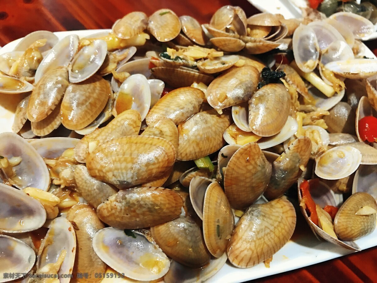 花甲 贝壳 壳类 炒花甲 炝炒花甲 餐饮美食 传统美食