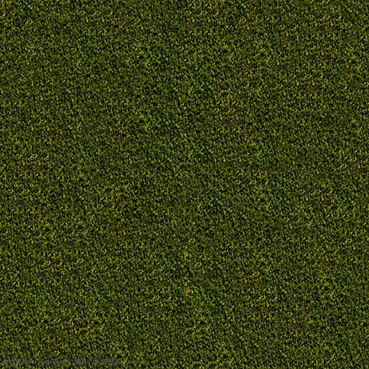 绿色植被 叶子 绿色 植物 草地 清新 生物世界 树木树叶 贴图 背景 生态 环保 自然 底纹边框 背景底纹