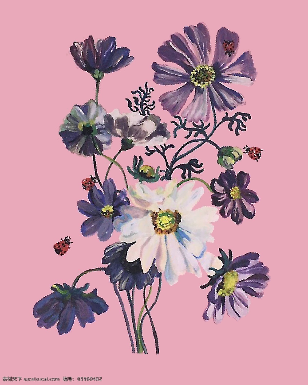 彩绘 花卉 t 恤 印花 图案 t恤印花 底纹边框 花边花纹