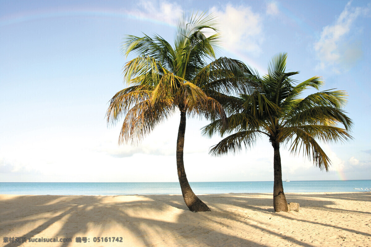 椰树 海滩 渡假 风景名胜 清凉 热带 树影 椰树海滩 无人 壮丽自然 自然景观 psd源文件