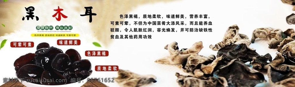 木耳 木耳特点 木耳特色 黑木耳功效 分层