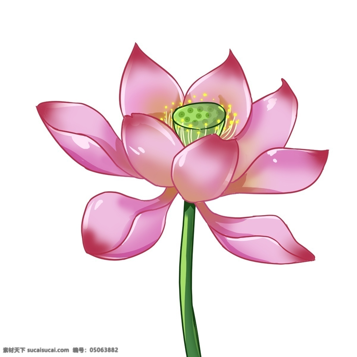 手绘 卡通 荷花 元素 花朵 植物 花 夏天 赏花 粉红色 五月 荷花季