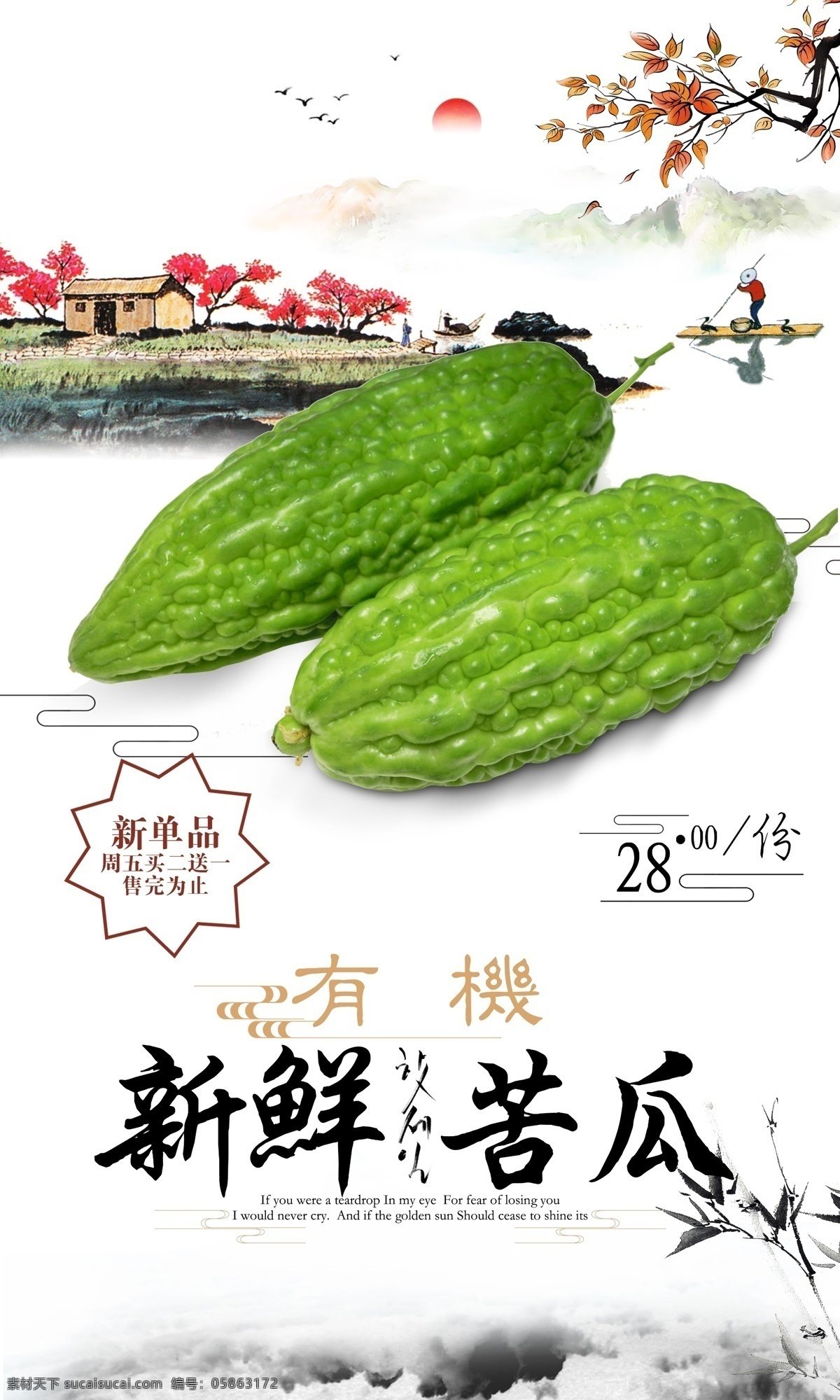 新鲜 有机 苦瓜 展板 分层