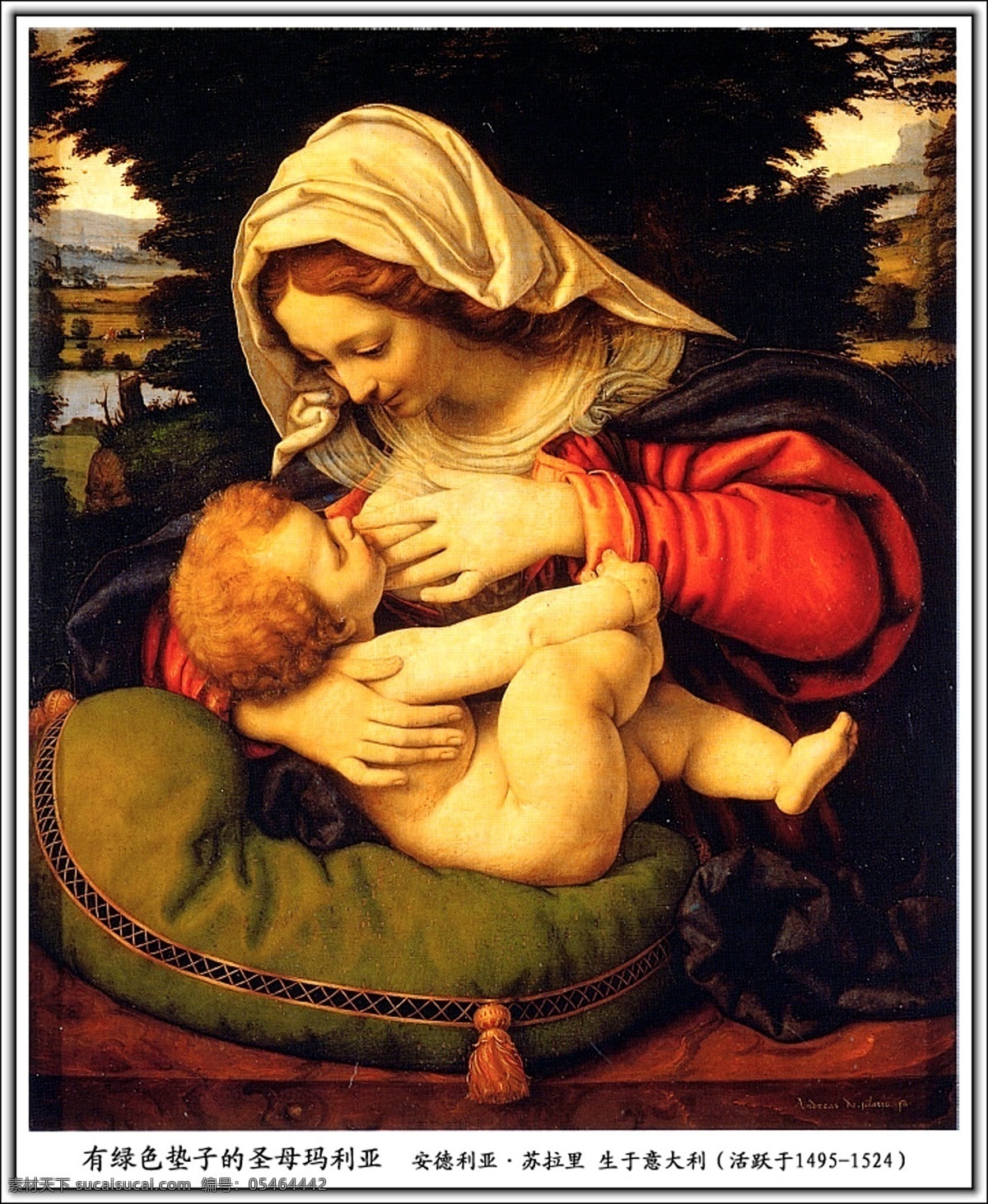 绿色 垫子 圣母 玛利亚 绿色垫子 圣母玛利亚 婴儿 油画 安 德利亚 苏拉 里 意大利画家 文化艺术 绘画书法 设计图库