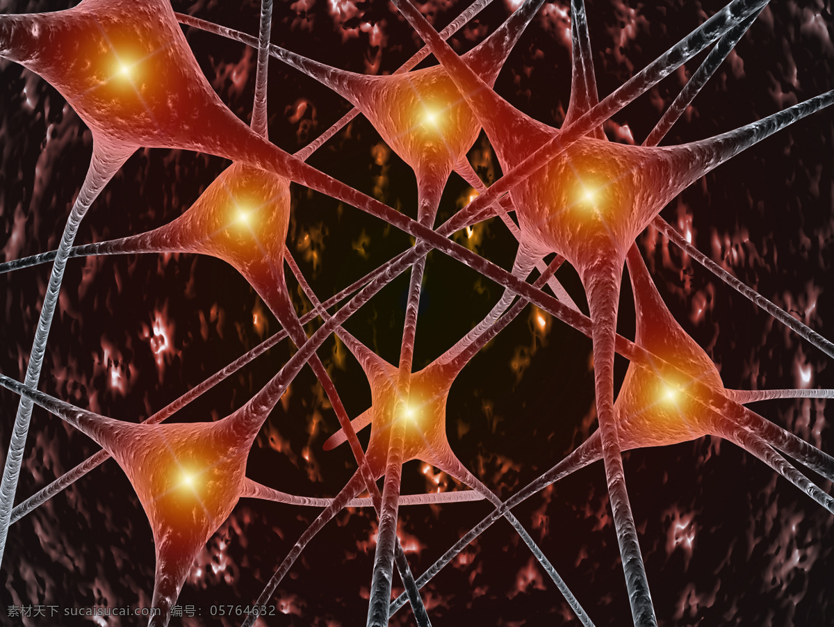 神经元 神经系统 人体组织 细胞 神经纤维 微观 医疗 科研 研究 神经细胞 病变 医疗护理 现代科技