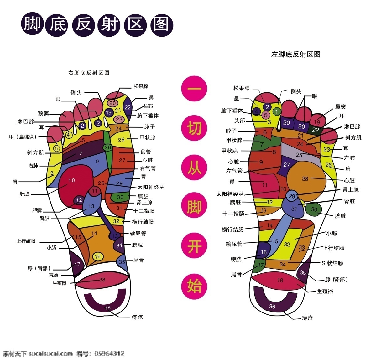 按摩图片 足疗 足疗保健 足疗图片 足疗血位图 脚血位科 足疗示意图 脚底示意图 psd源文件