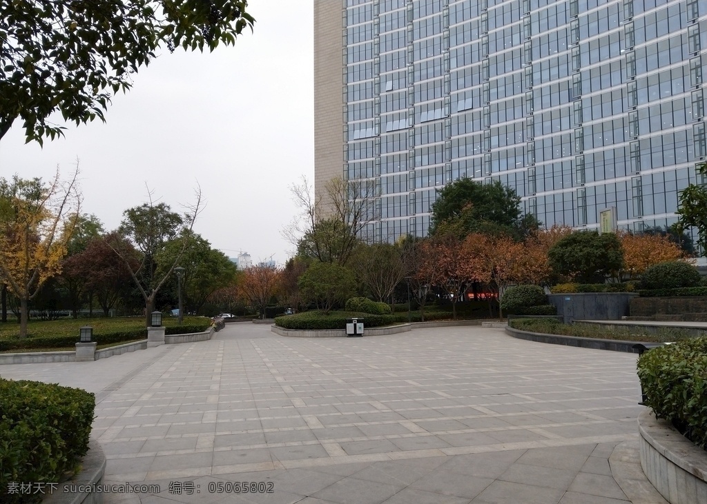 城市广场风景 城市 广场 树木 高楼 美景 建筑景观 自然景观