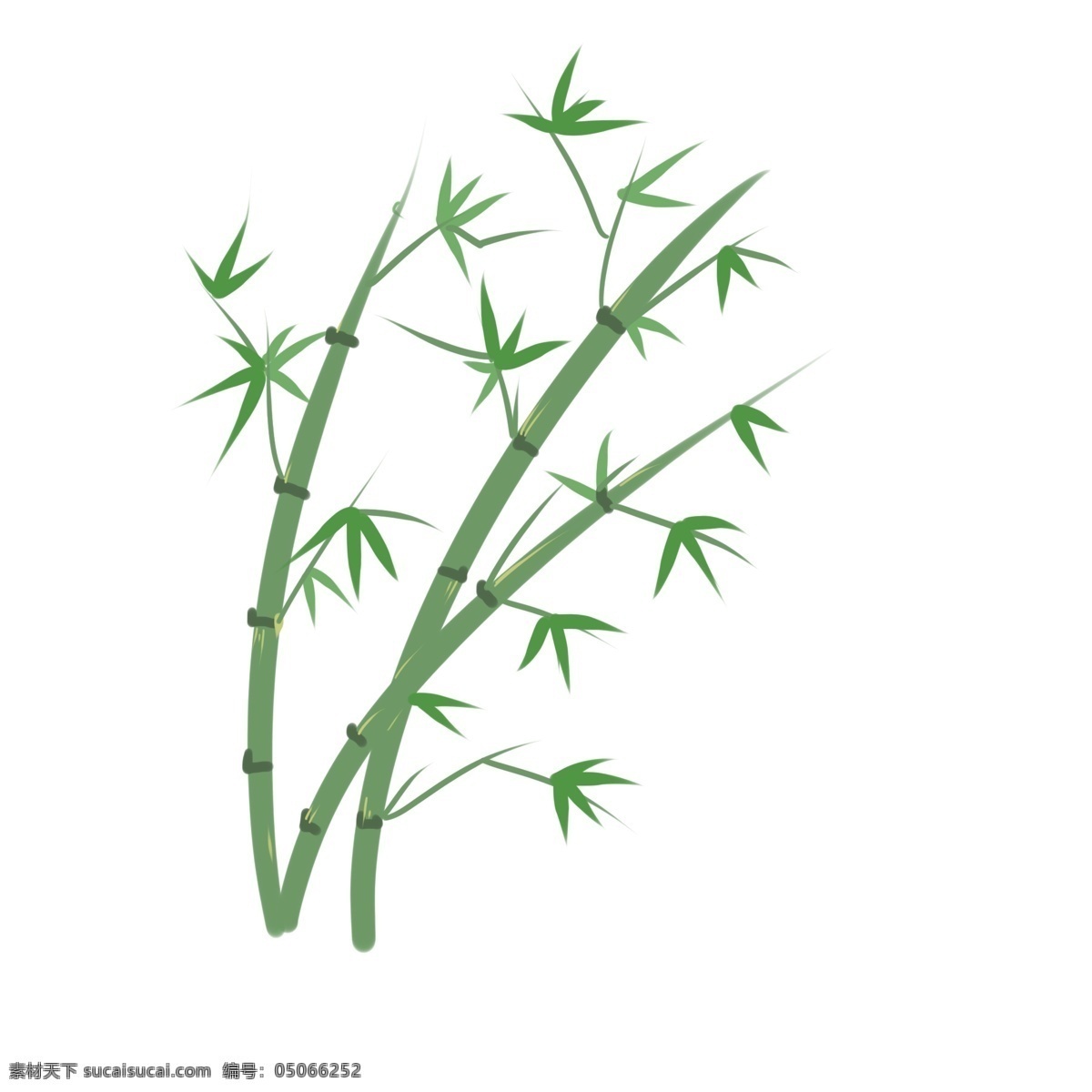手绘 清新 竹子 矢量 元素 商用 竹叶 植物 春天 绿色 免抠元素 手帐元素 植物装饰元素