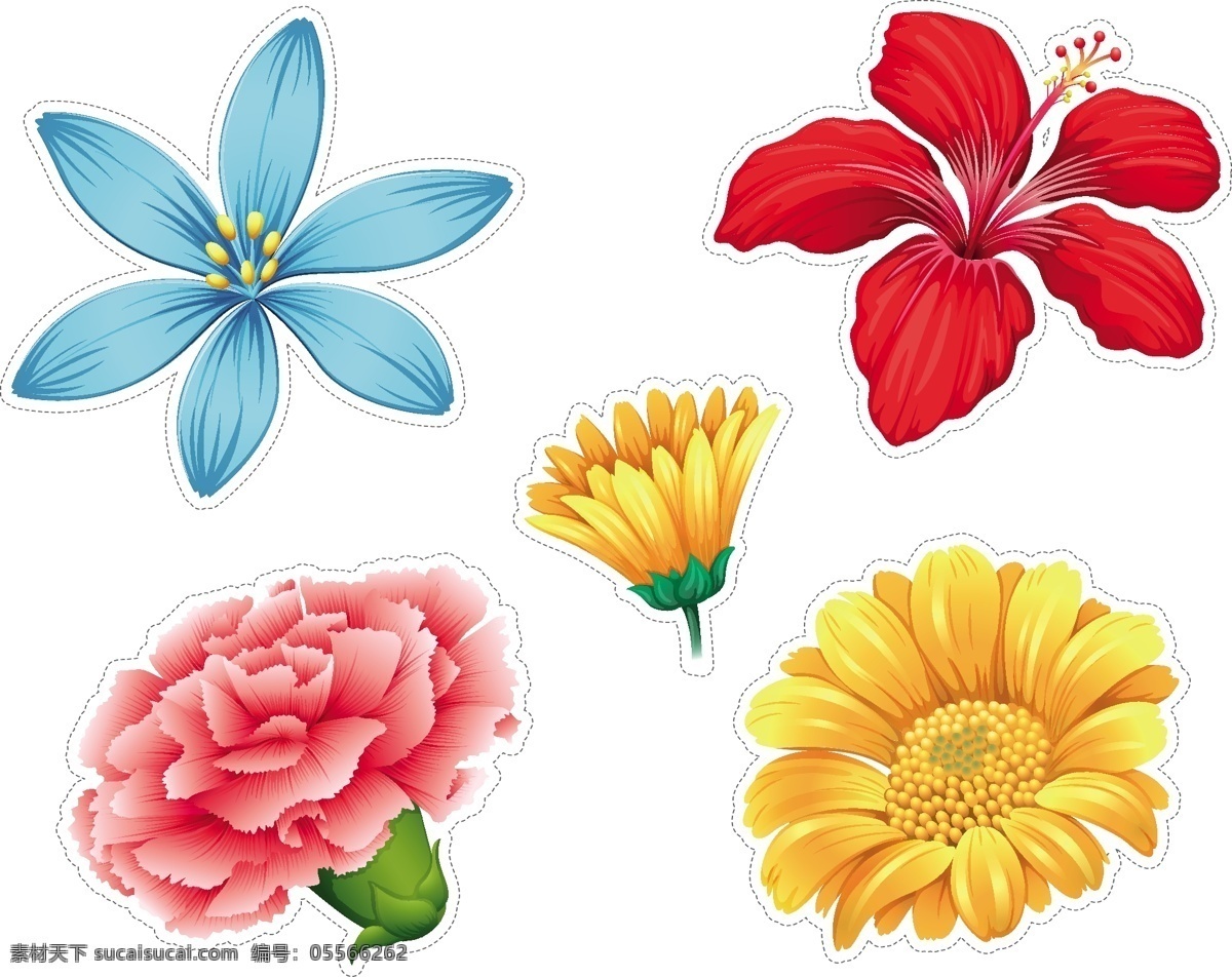 彩色的花收藏 花卉 自然 颜色 收集 设置 彩色