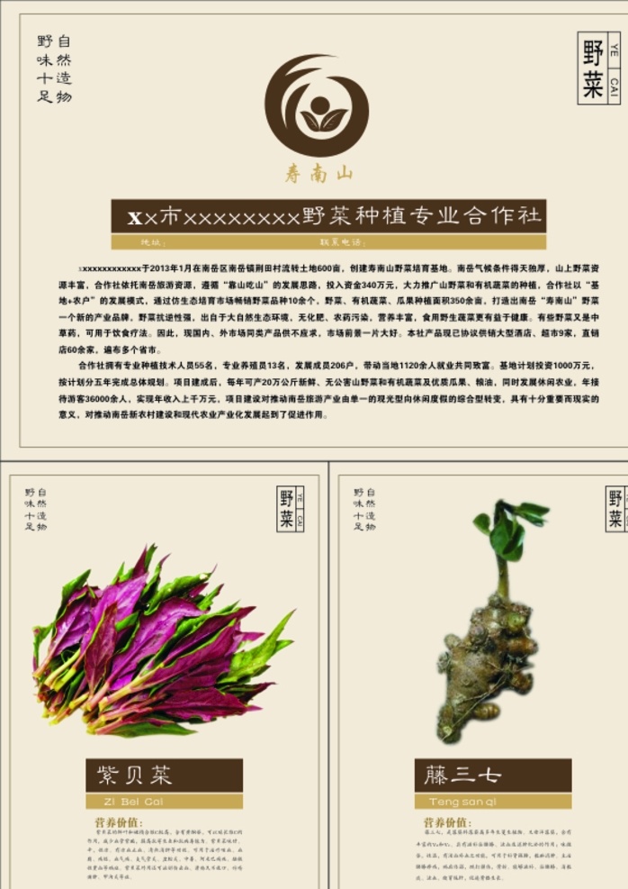 野菜菜品介绍 野菜 菜品介绍 农产品 展板 宣传单页