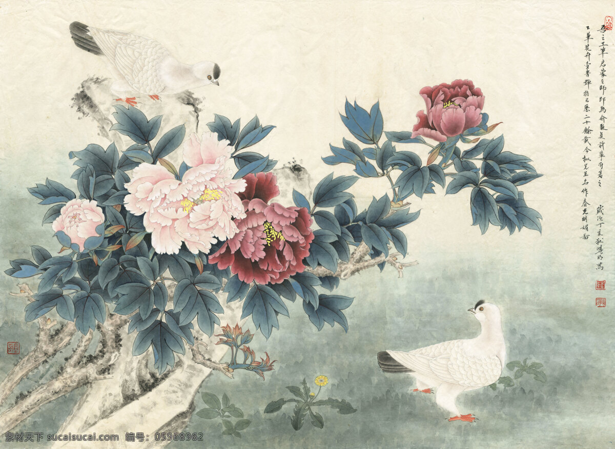 国画 工笔 锦鸡 牡丹 花卉 手绘 白色