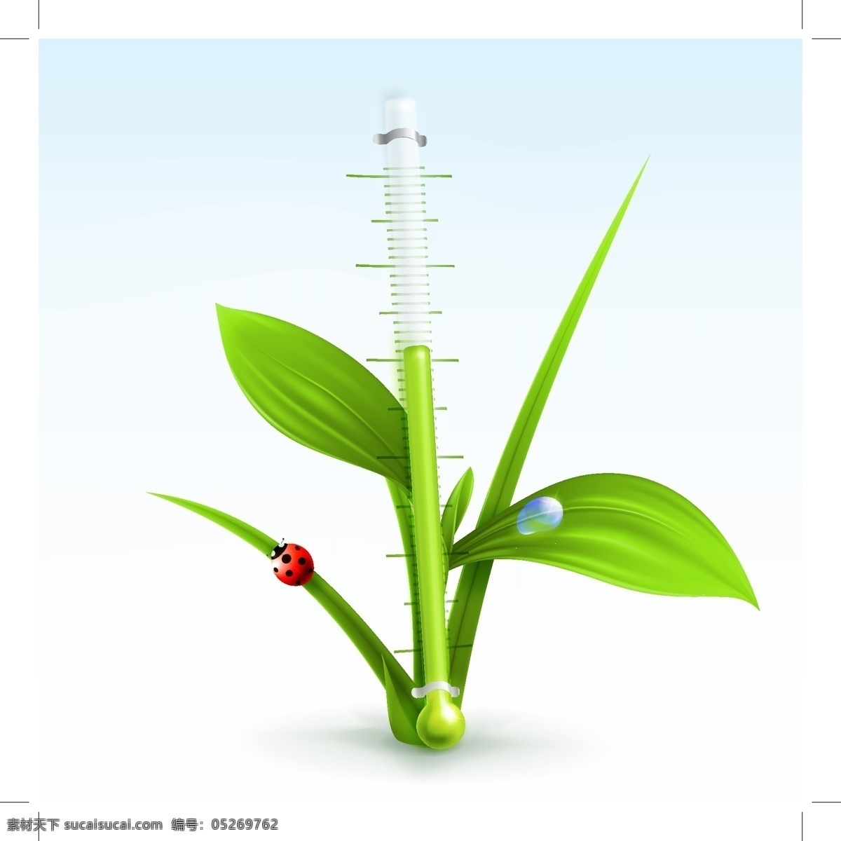绿色 春天 绿叶 免费模版下载 免费素材 瓢虫 温度 矢量图 其他矢量图