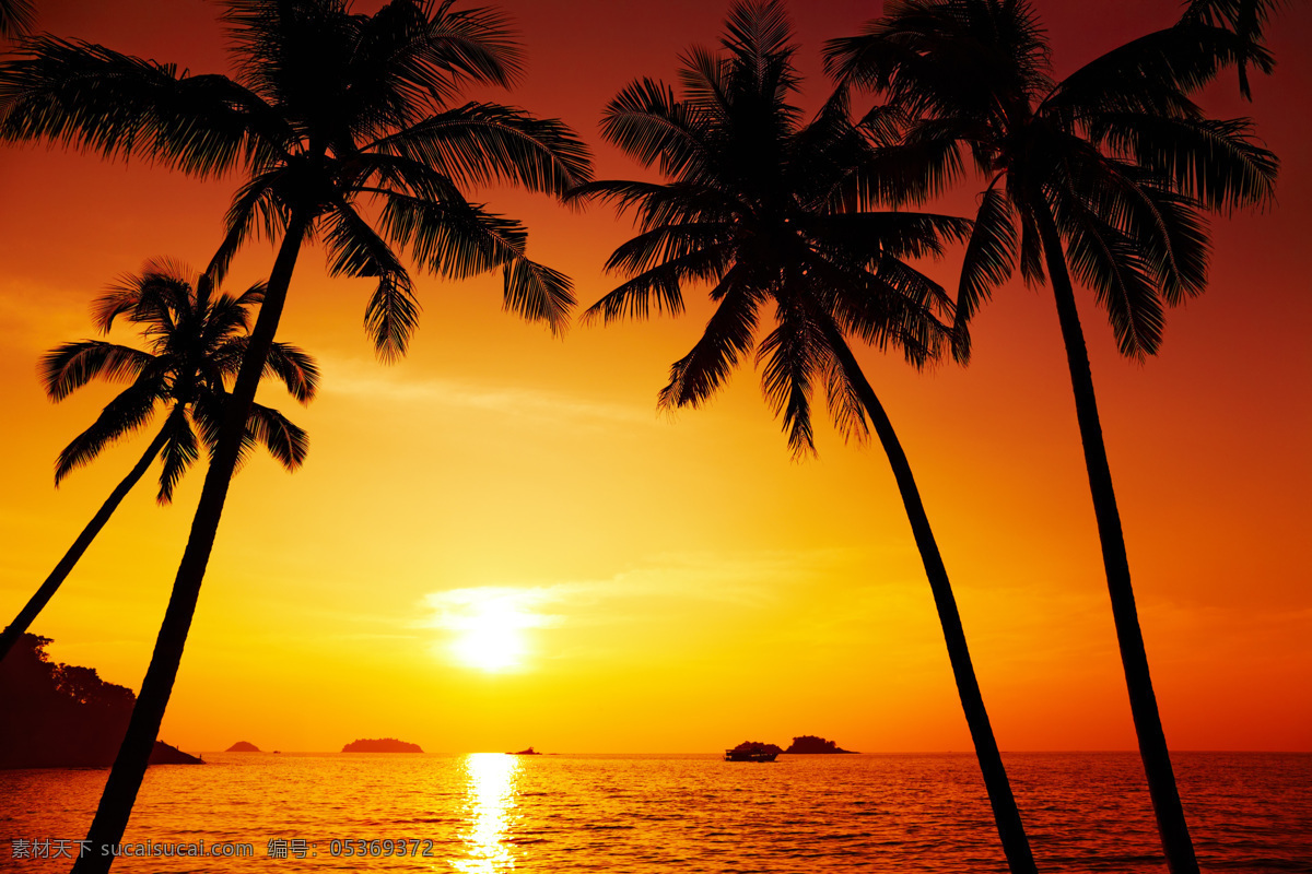 唯美 海边 夕阳 美景 滩 黄昏 椰子树