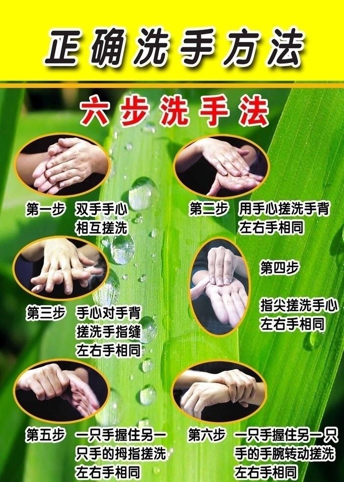 洗手步骤 健康洗护 洗手步骤图 洗手文字说明 水珠 竹叶 手部特写 分层 源文件