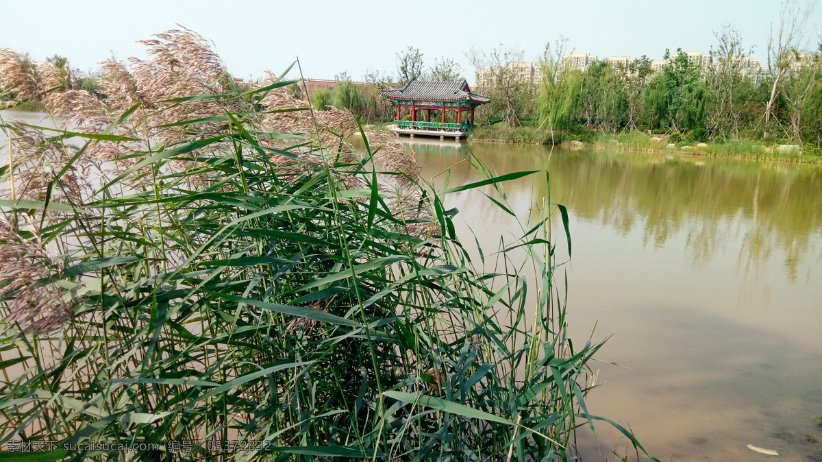古风摄影 公园 华山 玲珑城 芦苇 河流 河 济南 环境 景观 景观设计 一步一景 泉城华山 旅游摄影 国内旅游