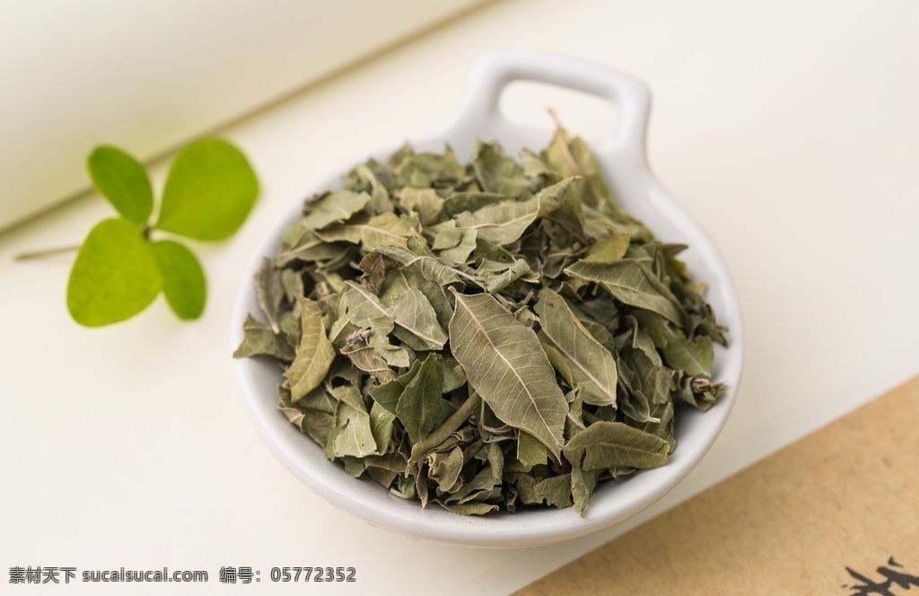 罗布麻叶图片 罗布麻叶 红麻 茶叶花 红柳子 野麻 羊肚拉角 泽漆麻 草药 中药 中药材 中草药 药材