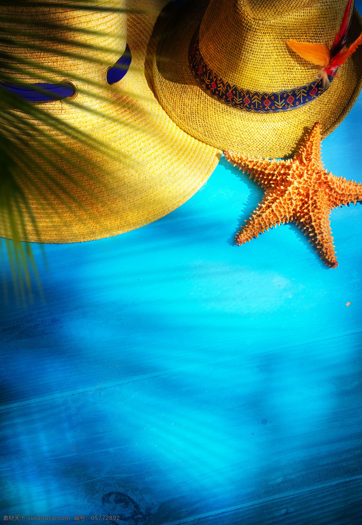 草帽与海星 草帽 海星 帽子 夏日旅行 旅游 旅行主题 其他类别 生活百科 青色 天蓝色