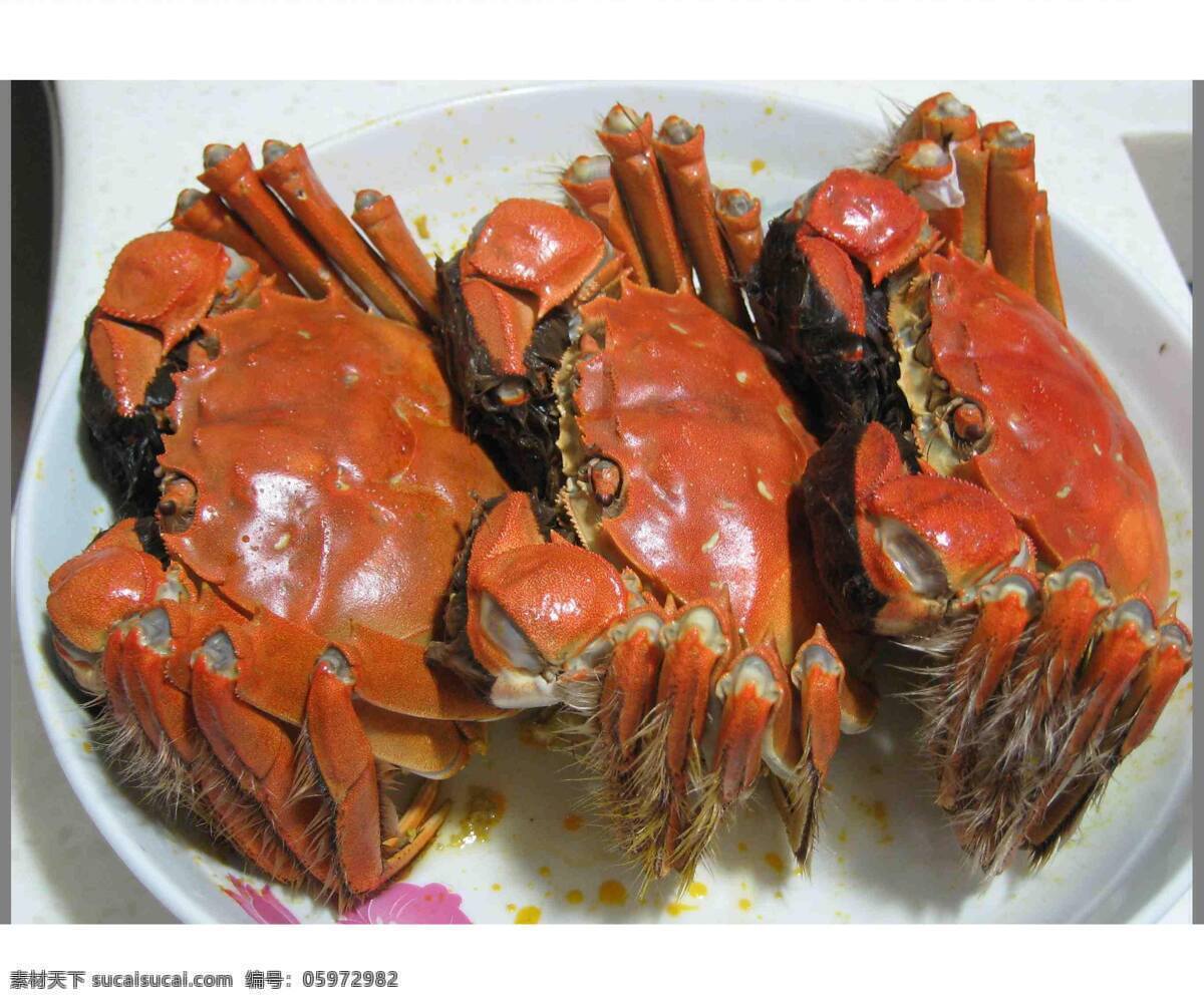 清蒸 苏北 大闸蟹 青背青爪 体大膘肥 膏满肉肥 色香味形俱佳 味道鲜美 河鲜极品 高档河鲜 佳肴名菜 美食天下 传统美食 餐饮美食