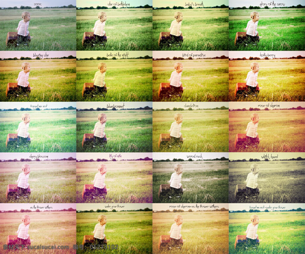 lomo ps插件 ps动作 处理 淡雅 调色 儿童 宫廷 古旧 孩子 欧美 照片 动作 模板下载 阳光 梦幻 浪漫 唯美 黑白 浅黄 泛黄 泛白 增白 细腻 美肤 老旧 外国 婴儿 艺术 写真 生活照 摄像 影楼 后期 色调 配色 磨皮 润肤 风 ps 合集 源文件 atn psd源文件