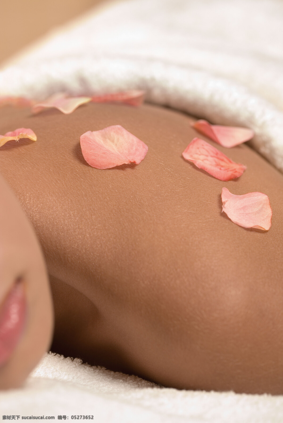 spa 美容 女人 高清 素材图片 美容人物 花瓣 美女 毛巾 嘴唇特写 背部特写 保健按摩图片 休闲保健 健身 美容健身 生活百科